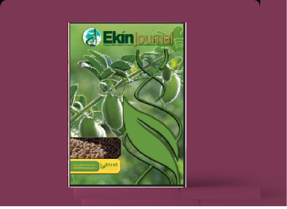 Ekinjournal Volume 11, Issue 1