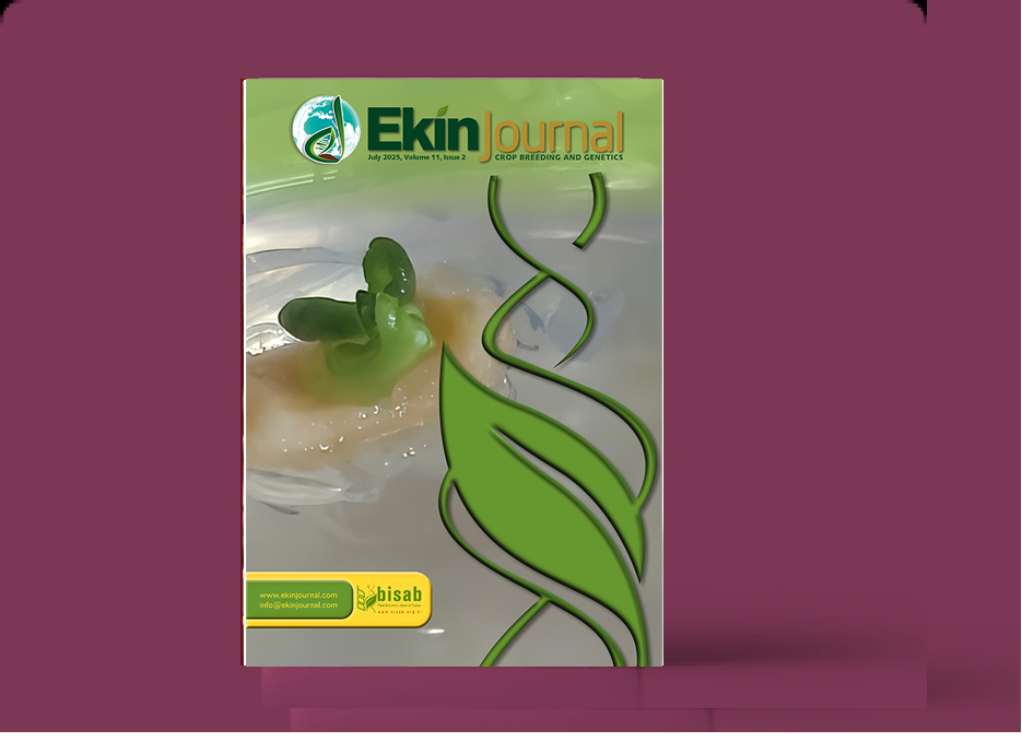 Ekinjournal Volume 11, Issue 2