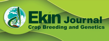 Ekinjournal Web Sitesi