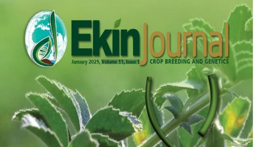 EKİN JOURNAL YENİ SAYISI ÇIKTI(Volume 11, Issue 1)