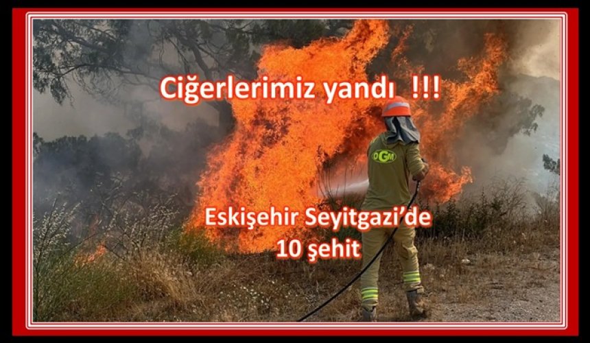 Ciğerlerimiz yandı !!!