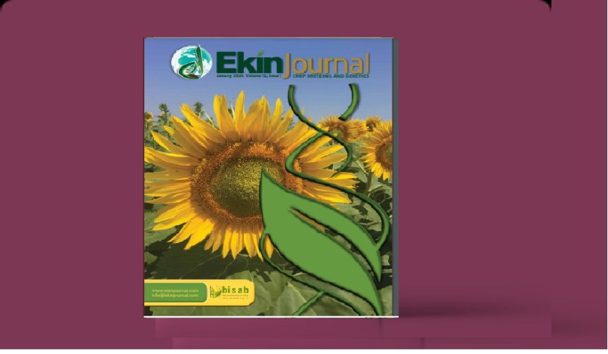 Ekinjournal yeni sayısı Volume_12 Issue_1
