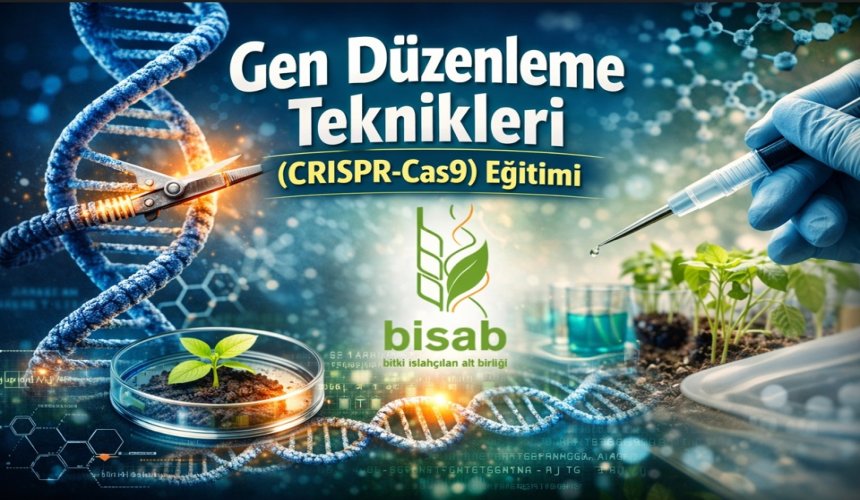Gen Düzenleme Teknikleri (CRISPR-Cas9)