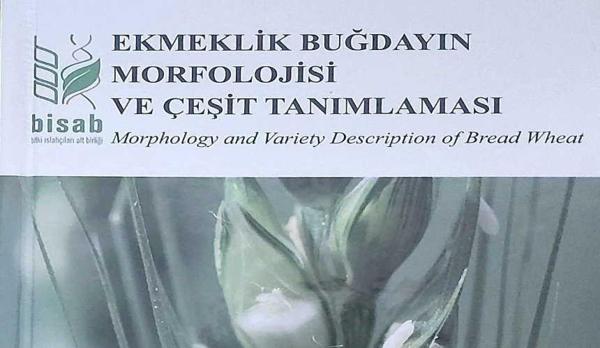 Ekmeklik Buğdayın Morfolojisi ve Çeşit Tanımlaması kitabı