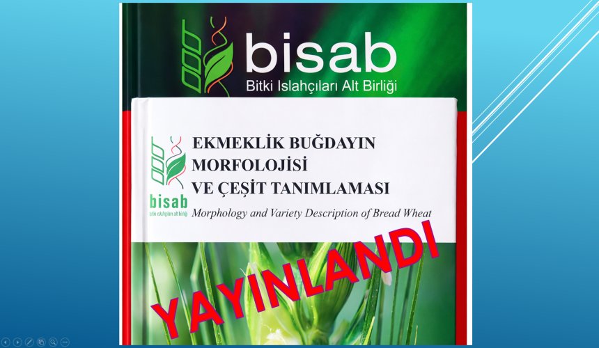 Ekmeklik Buğdayın Morfolojisi ve Çeşit Tanımlaması kitabı