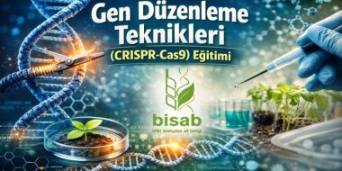 2026 Crispr CAS9 eğitimi