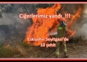 Ciğerlerimiz yandı !!!