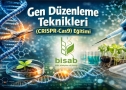 Gen Düzenleme Teknikleri (CRISPR-Cas9)