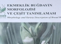 Ekmeklik Buğdayın Morfolojisi ve Çeşit Tanımlaması kitabı