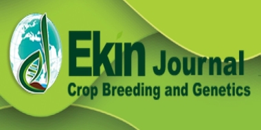 EKİNJOURNAL YENİ SAYISI ÇIKTI